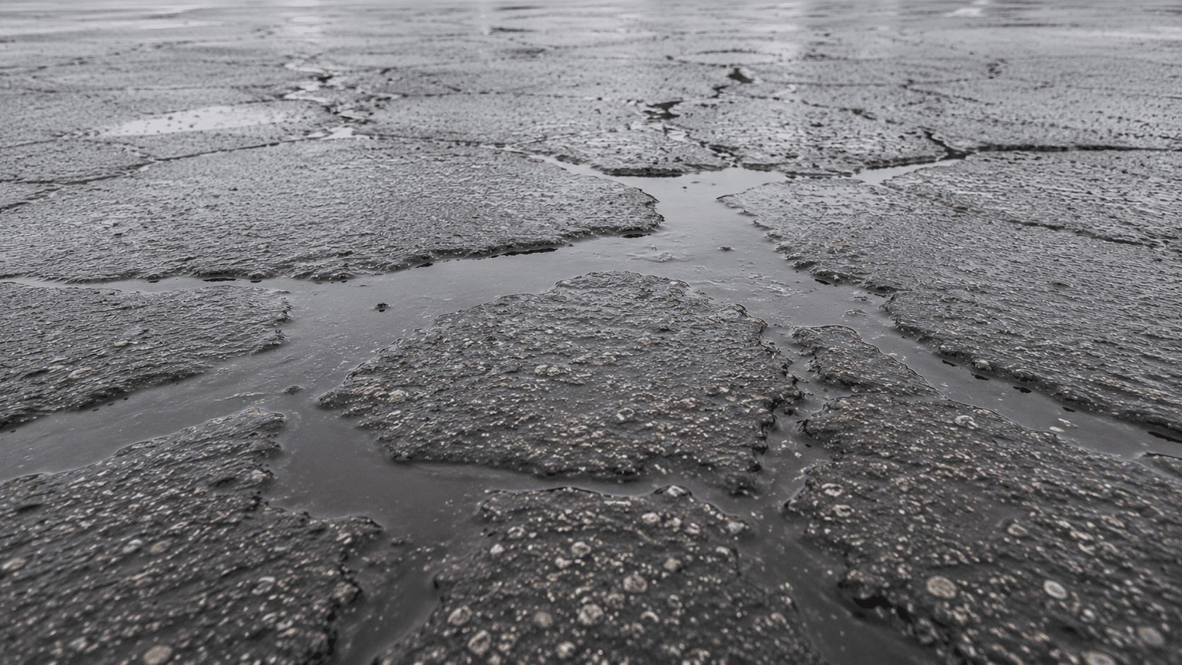 Water pooling in cracks on a commercial parking lot surface, the start of pothole damage